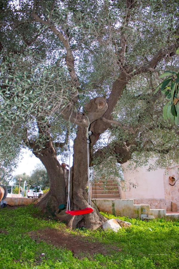 B&B Villa Nonna Maria Castellana Grotte Esterno foto