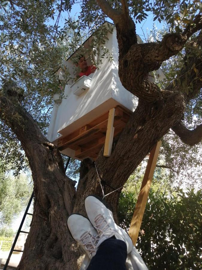 B&B Villa Nonna Maria Castellana Grotte Esterno foto